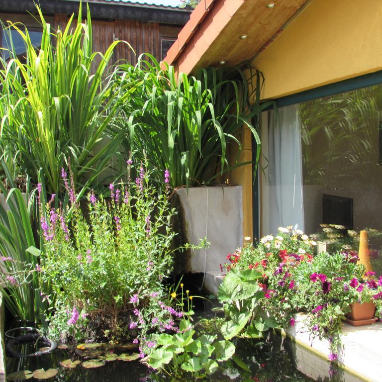 Ferienwohnung "Eifelstueffje" 梅谢尼希 客房 照片