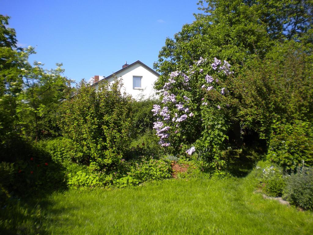Ferienwohnung "Eifelstueffje" 梅谢尼希 外观 照片