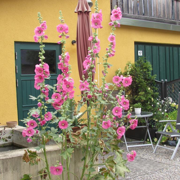 Ferienwohnung "Eifelstueffje" 梅谢尼希 外观 照片